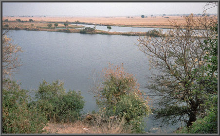 Chobe Fluss